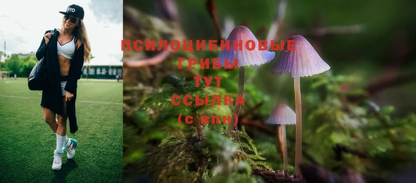 каннабис Алзамай