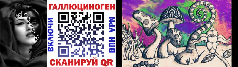 где можно купить   даркнет формула  Псилоцибиновые грибы прущие грибы  Аргун 