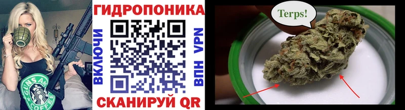 Бошки марихуана семена Аргун